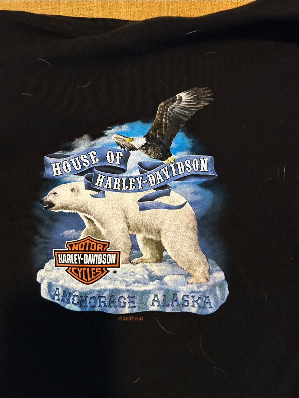 Harley-Davidson Black Tee with Orange Flame Sleeves - Picture 8 of 8